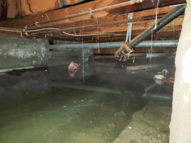 Best Fire Damage Restoration  in Enterprise, AL