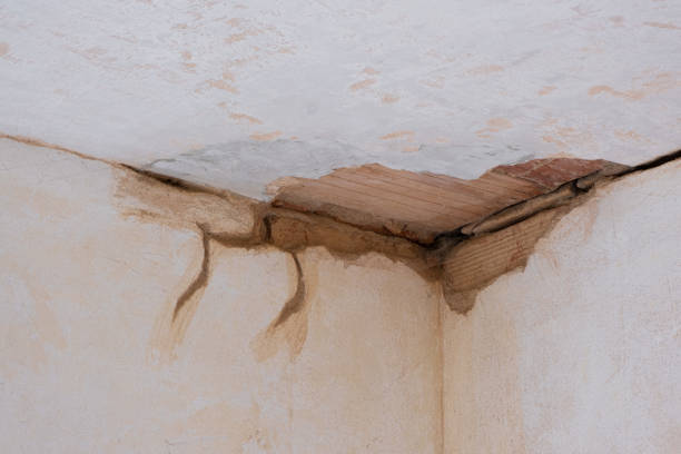 Best Water damage cleanup near me  in Enterprise, AL