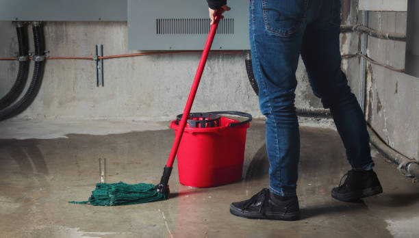 Best Local water damage restoration  in Enterprise, AL