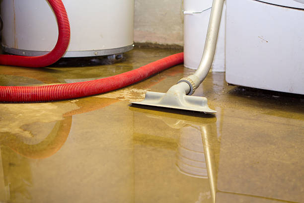 Best Water damage restoration insurance claims  in Enterprise, AL
