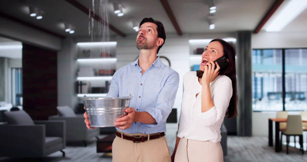 Best Flooded house restoration  in Enterprise, AL