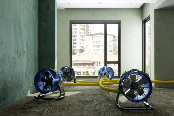 Best Flood restoration services  in Enterprise, AL