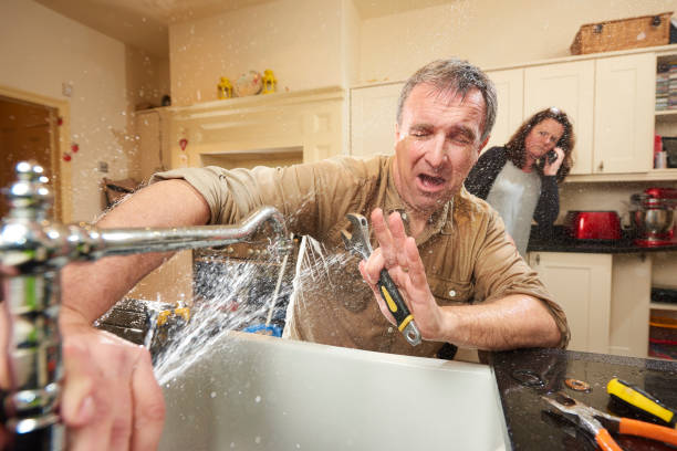 Best Mold removal after water damage  in Enterprise, AL